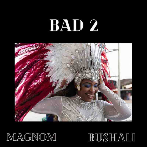 Magnom-Bad 2 cover art