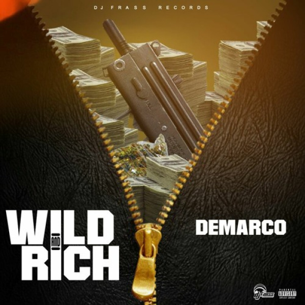 Demarco-Wild and Rich cover art