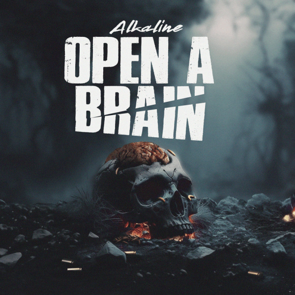 Alkaline-Open A Brain cover art