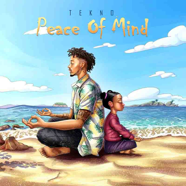 Tekno-Peace of Mind cover art