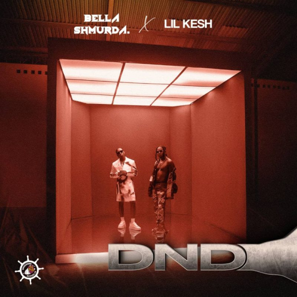 Bella Shmurda-DND cover art