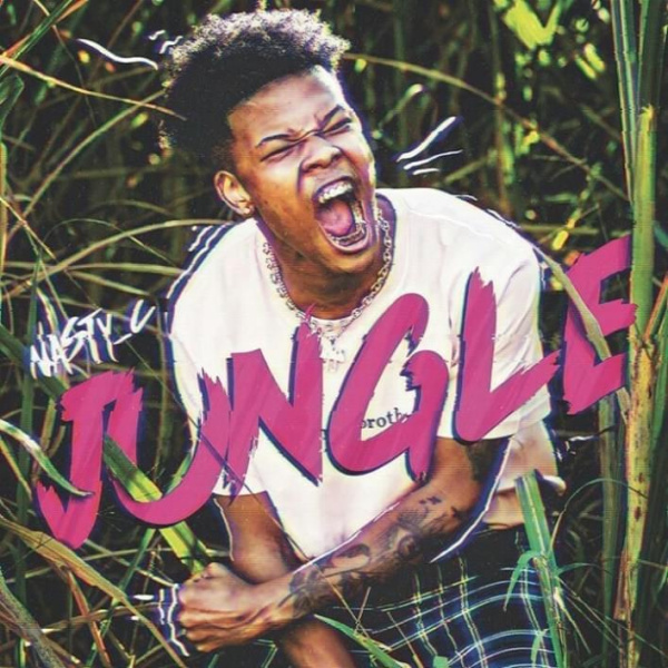 Nasty C-Jungle cover art