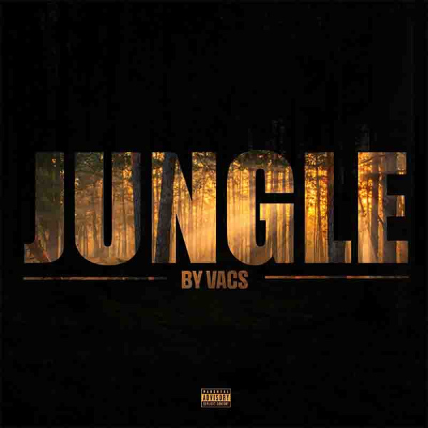 VacsOnIt-Jungle cover art