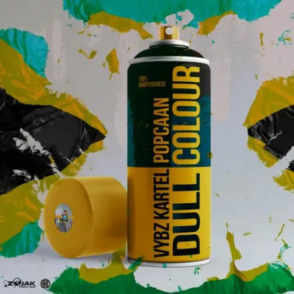 Vybz Kartel-Dull Colour cover art