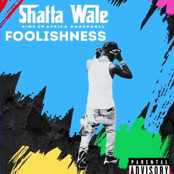 Shatta Wale-Foolishness cover art