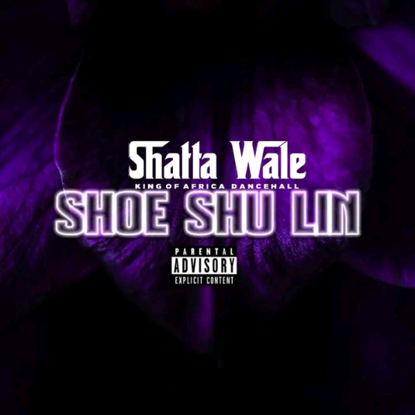 Shatta Wale-Shoe Shu Lin (Ola Michael Diss) cover art