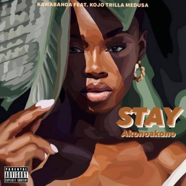 Kawabanga-Stay (Akonoakono) cover art