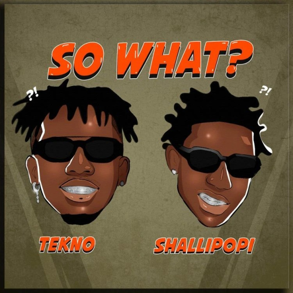 Tekno-So What? cover art