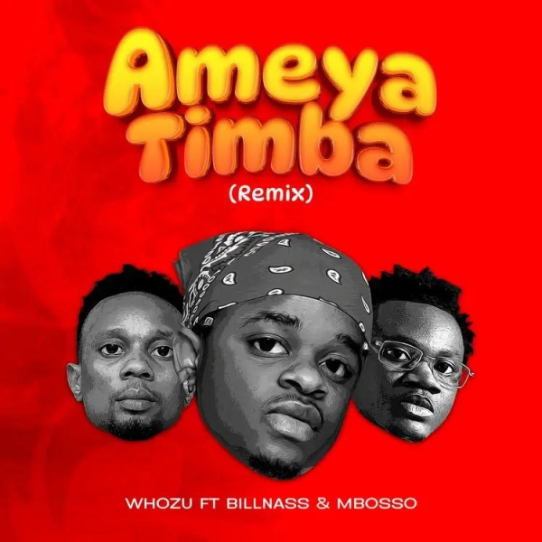 Whozu-Ameyatimba (Remix) cover art