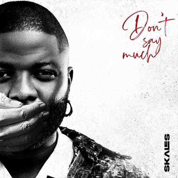 Skales-Don't Say Much cover art