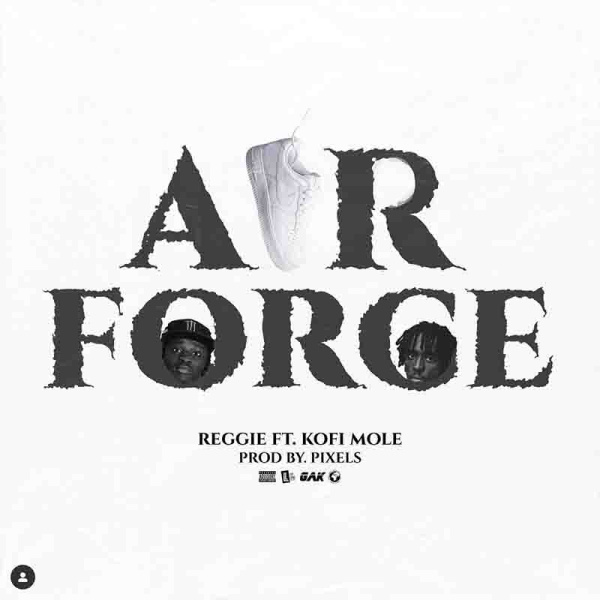 Reggie-Air Force cover art