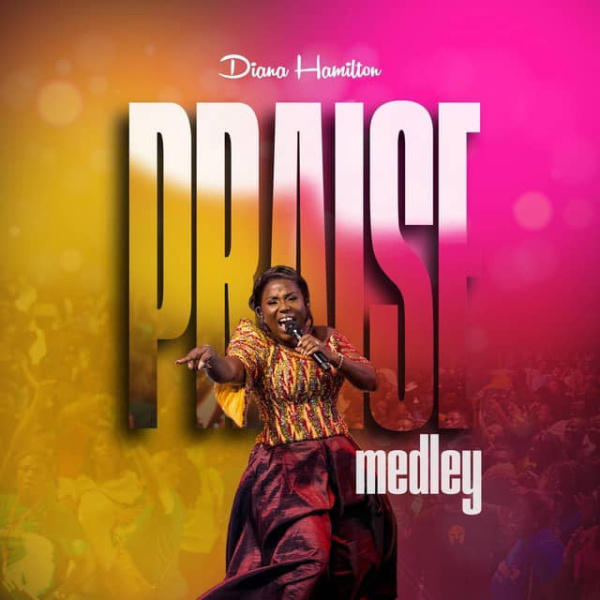 Diana Hamilton-Praise Medley (Live) cover art