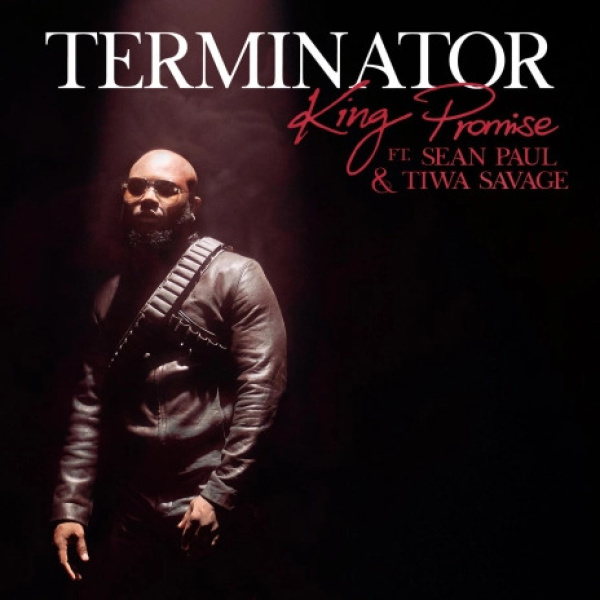 King Promise-Terminator (Remix) cover art