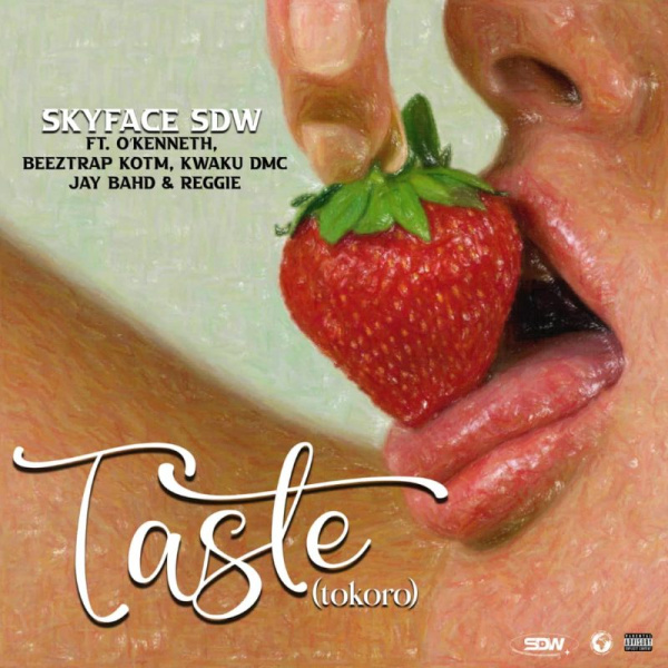 Skyface SDW-Taste (Tokoro) cover art