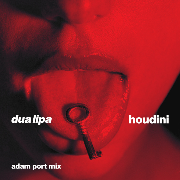 Dua Lipa-Houdini (Adam Port Mix) cover art