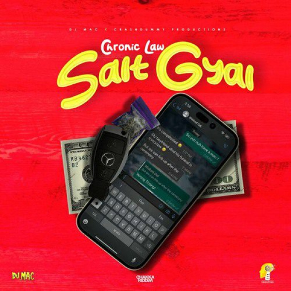 Chronic Law-Salt Gyal cover art