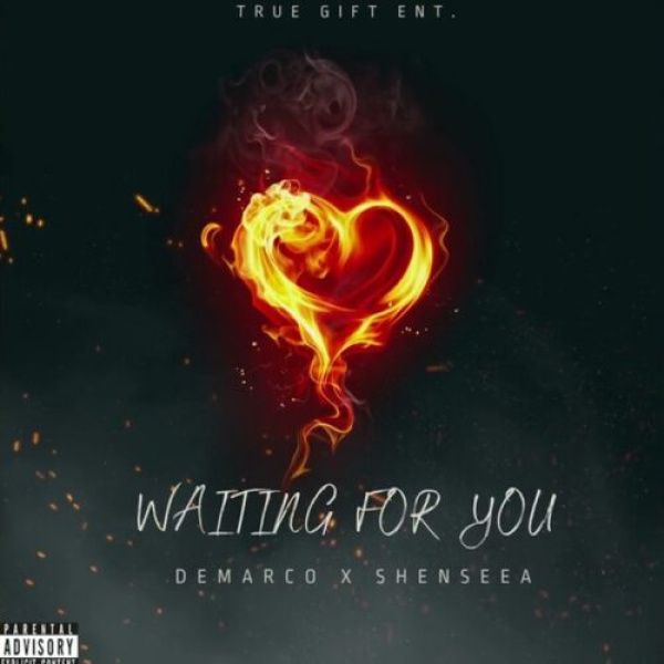 Demarco , Shenseea-Waiting For You cover art