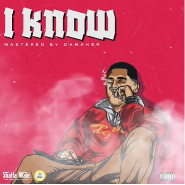 Shatta Wale-I Know cover art