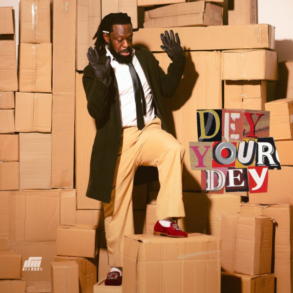 Timaya-Dey You Dey cover art