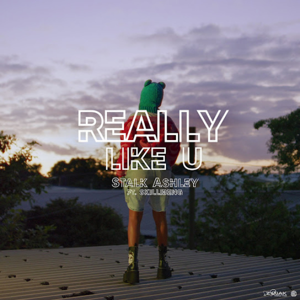 Stalk Ashley-Really Like U cover art