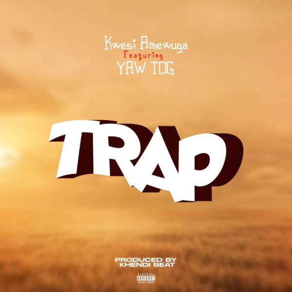 Kwesi Amewuga-Trap cover art