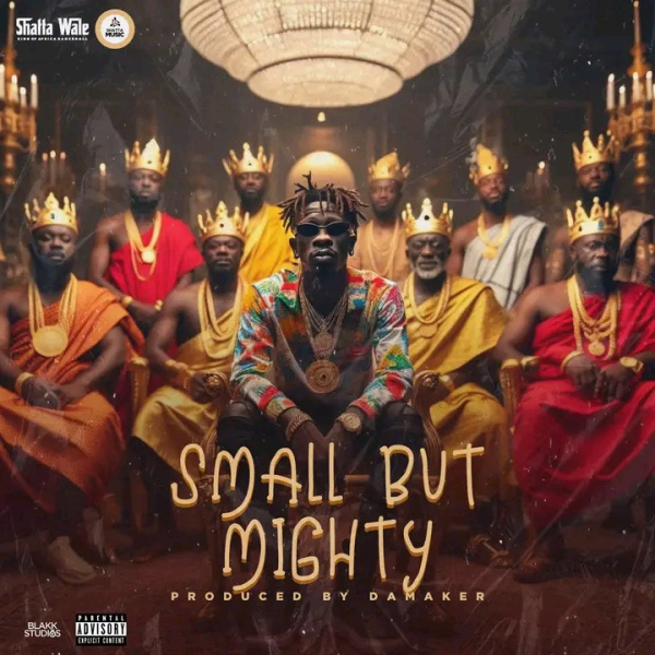 Shatta Wale-Small But Mighty cover art