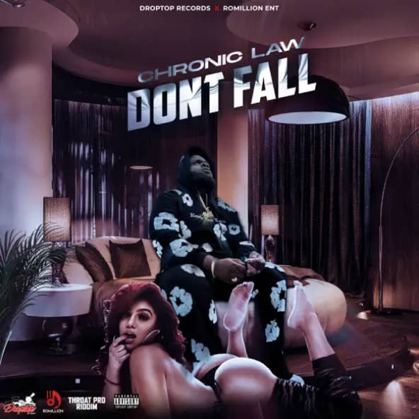 Chronic Law-Don't Fall cover art