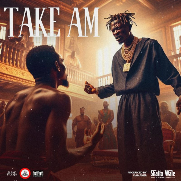 Shatta Wale-Take Am cover art