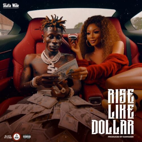 Shatta Wale-Rise Like Dollar cover art