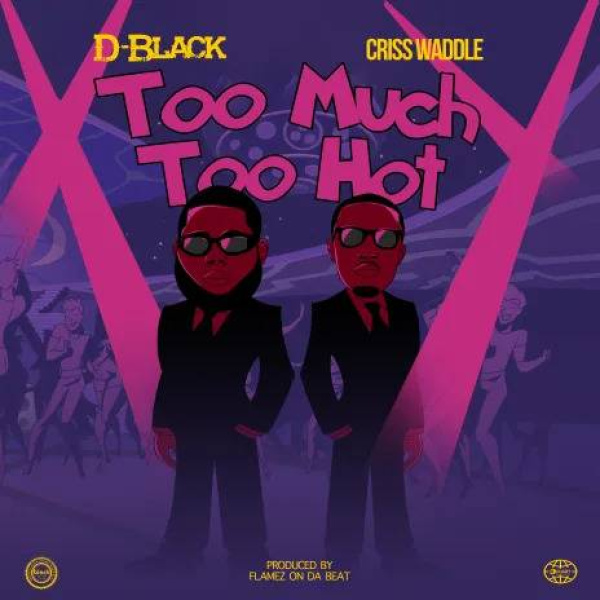 D-Black-Too Much Too Hot cover art