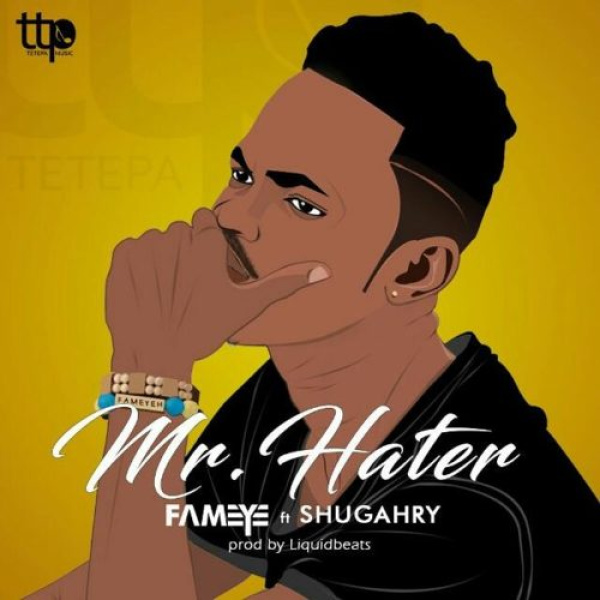 Fameye-Mr Hater cover art