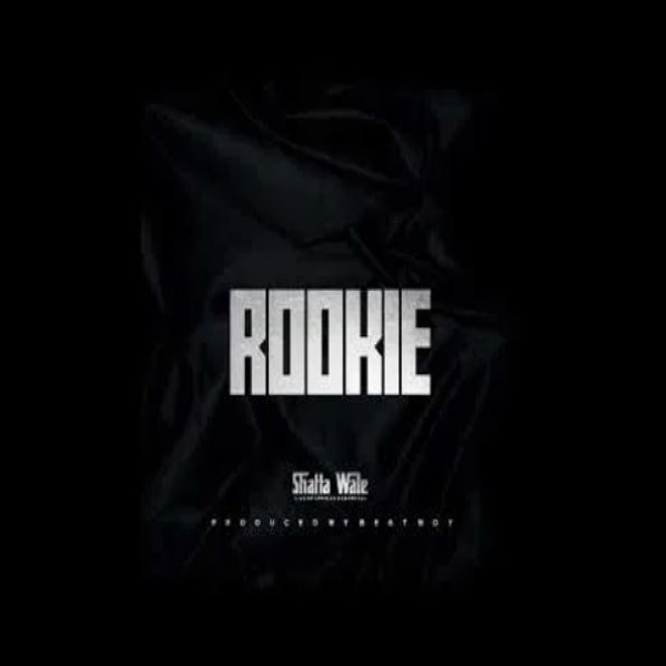 Shatta Wale-Rookie cover art