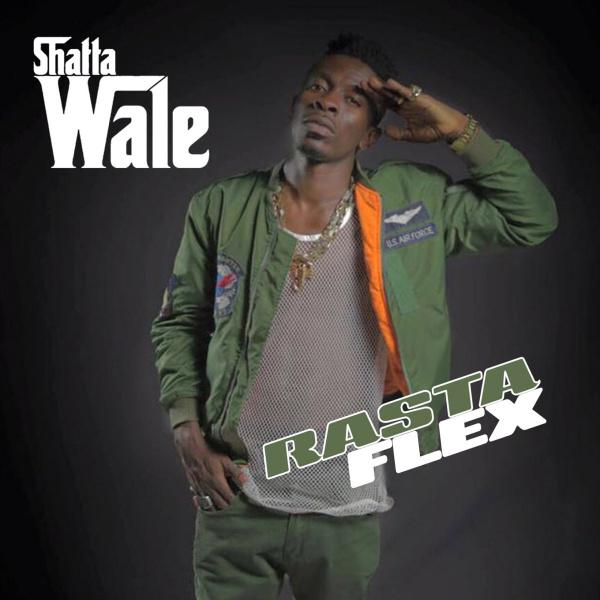 Shatta Wale-Fall For Me cover art